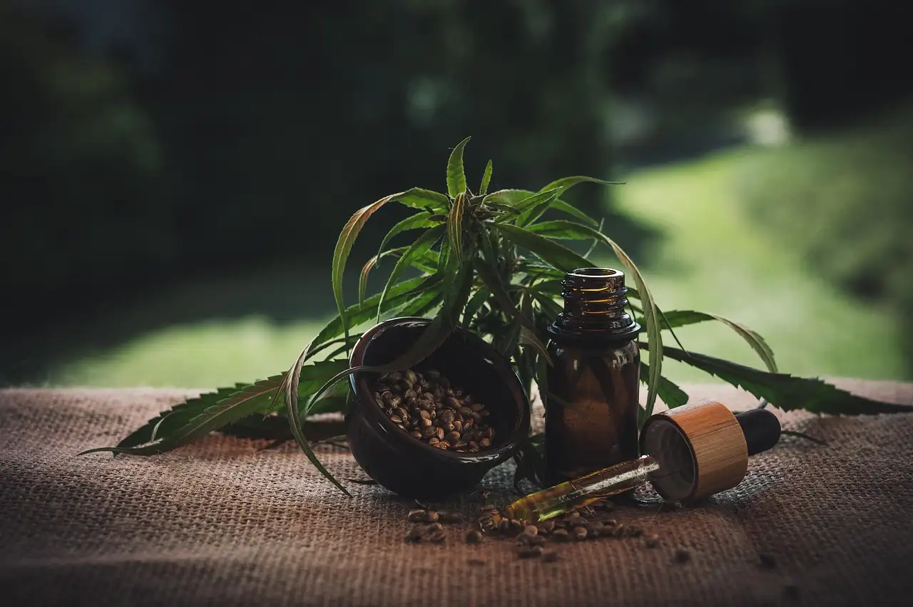 Cbd olie en nierfunctie: wat zegt onderzoek?