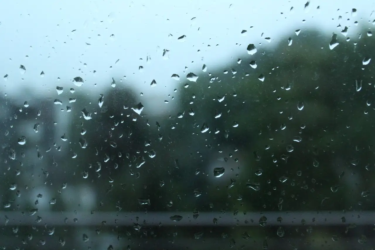 Gezonde Nieren: De Rol van Water bij de Nieren
