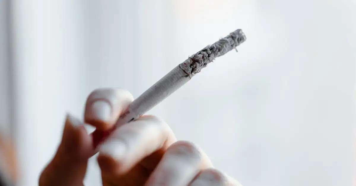 Nierfunctie 40: Wat betekent dit voor uw gezondheid nu?